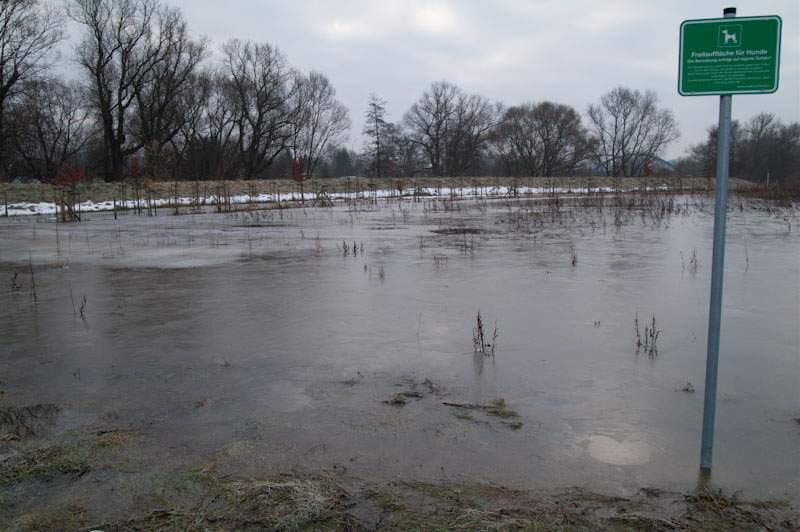 Hochwasser in Eilenburg